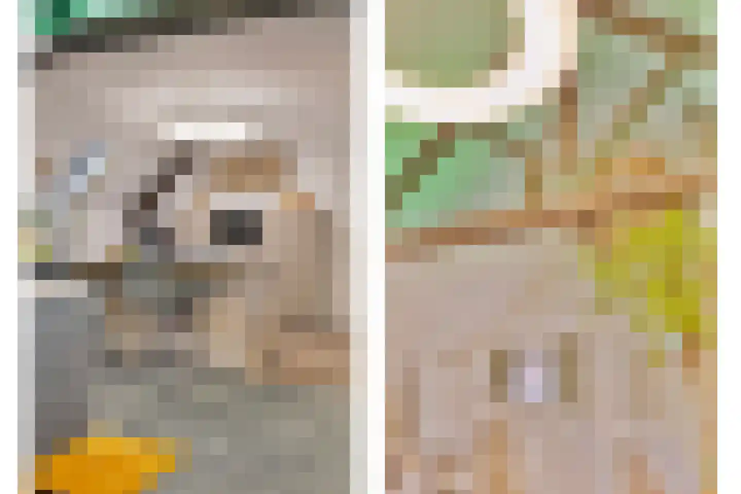 Elisabethplaats 30 Gemert thumbnail 33