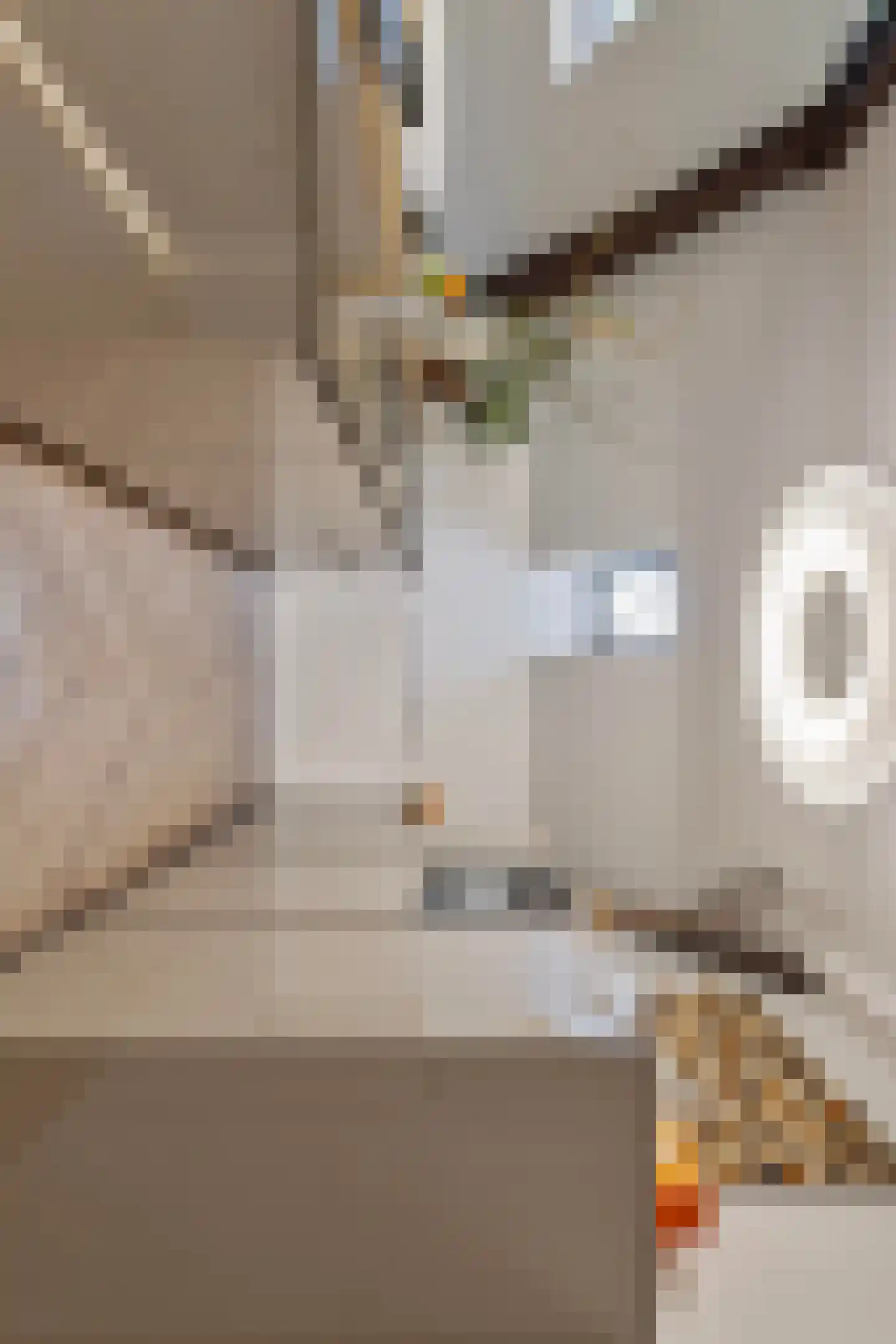 Elisabethplaats 30 Gemert thumbnail 8