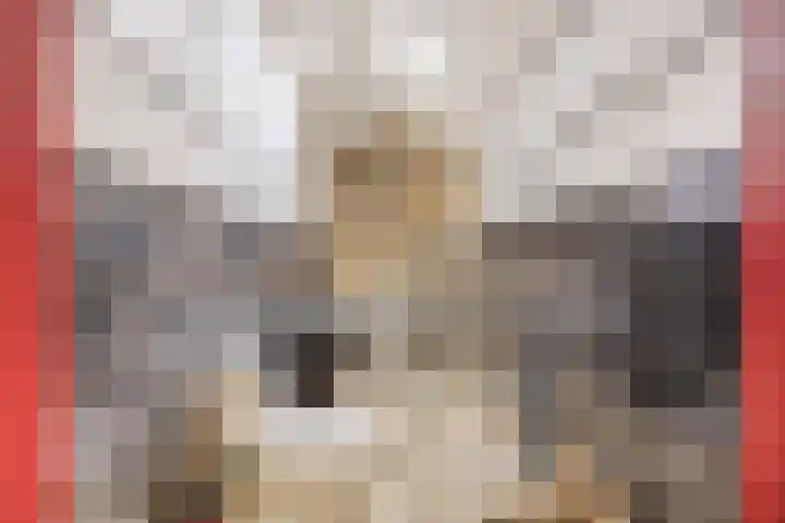 Elisabethstraat 37 Uden thumbnail 38