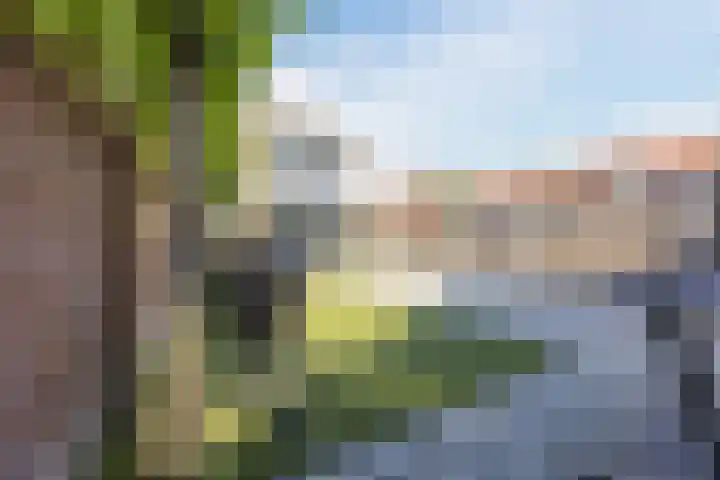 Elisabethstraat 37 Uden thumbnail 44