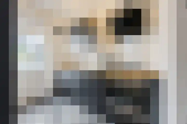 Elisabethstraat 37 Uden thumbnail 6