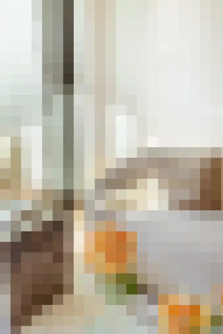 Elizabeth Anscombestraat 251 Amsterdam thumbnail 5