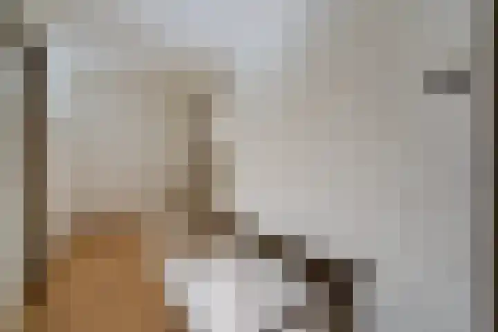 Elkingeslag 1 Emmen thumbnail 17