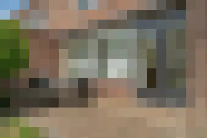 Elkingeslag 1 Emmen thumbnail 28