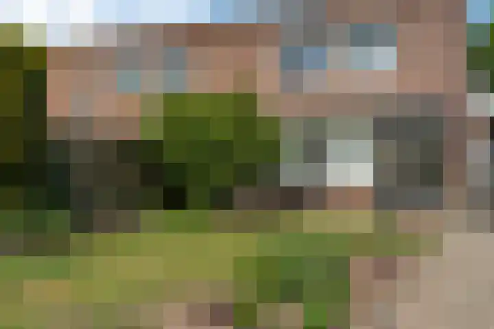 Elkingeslag 1 Emmen thumbnail 30