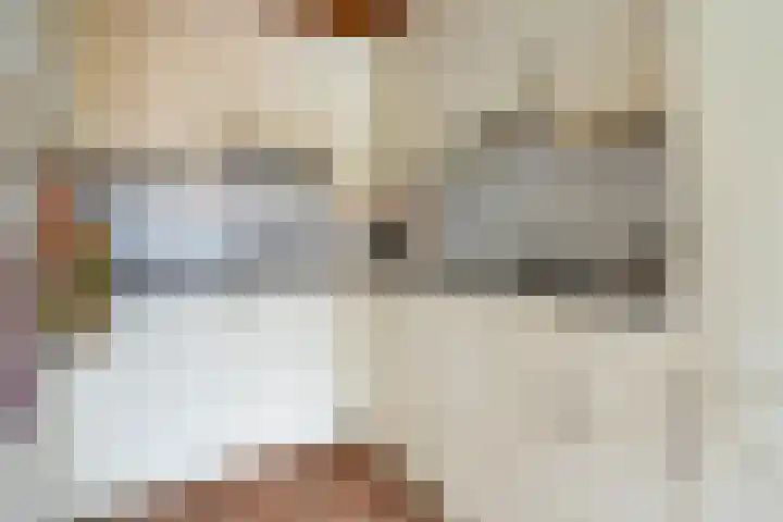 Elkingeslag 1 Emmen thumbnail 9