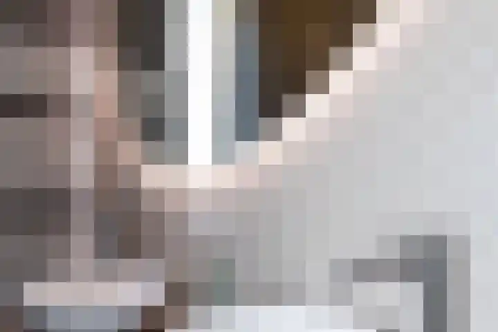 Elle Molstraat 33 Blokker thumbnail 34