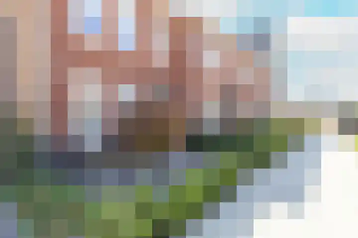 Elle Molstraat 33 Blokker thumbnail 7