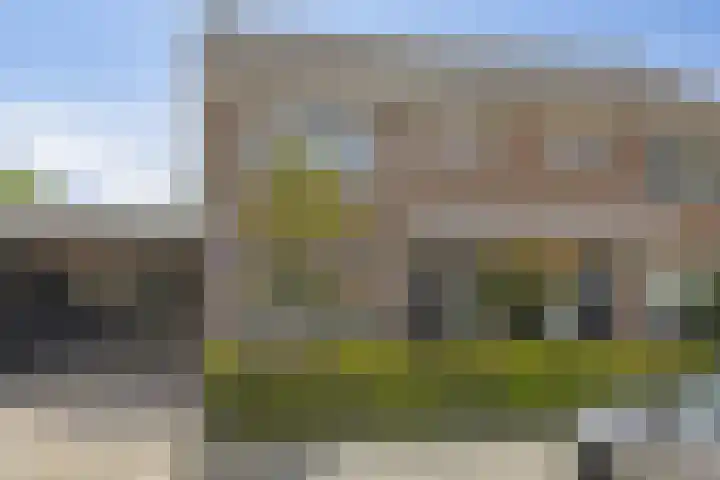 Elleboog 4 Riel