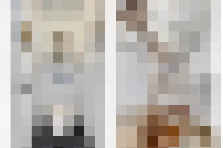 Elleboog 4 Riel thumbnail 10