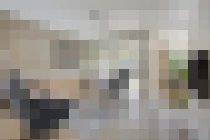 Elleboog 4 Riel thumbnail 12