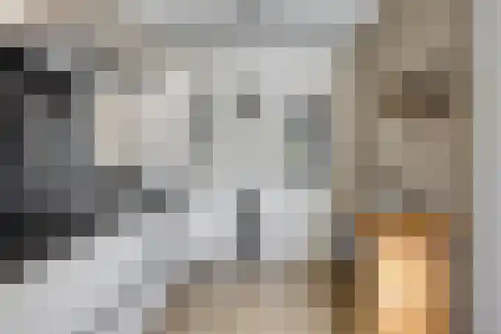 Elleboog 4 Riel thumbnail 17