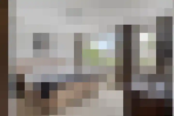 Elleboog 4 Riel thumbnail 21