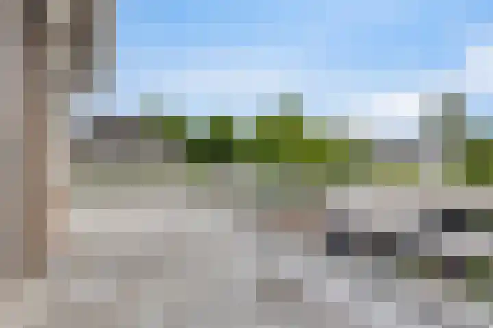 Elleboog 4 Riel thumbnail 23