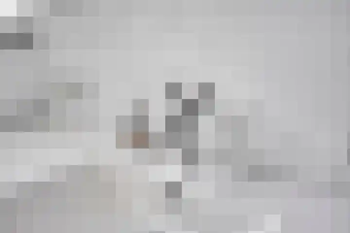 Elleboog 4 Riel thumbnail 25