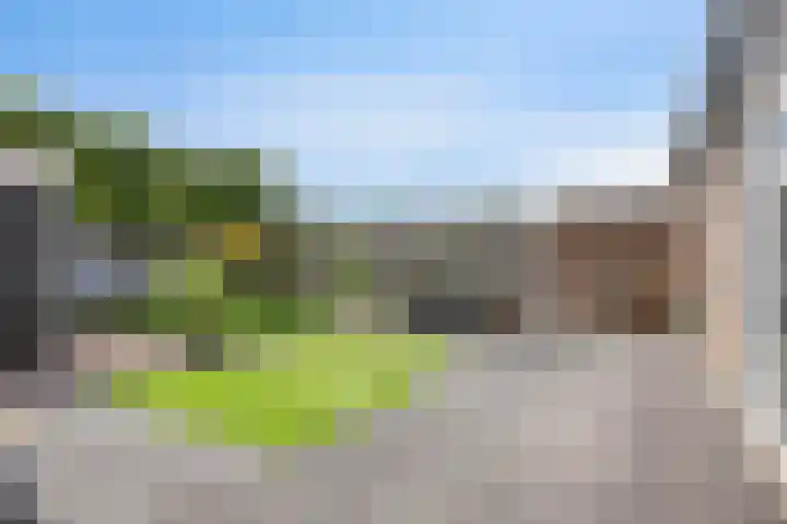 Elleboog 4 Riel thumbnail 34