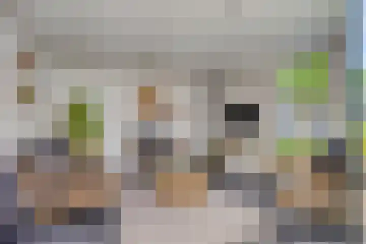 Elleboog 4 Riel thumbnail 36