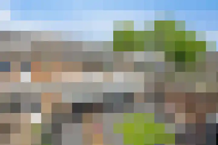 Elleboog 4 Riel thumbnail 37