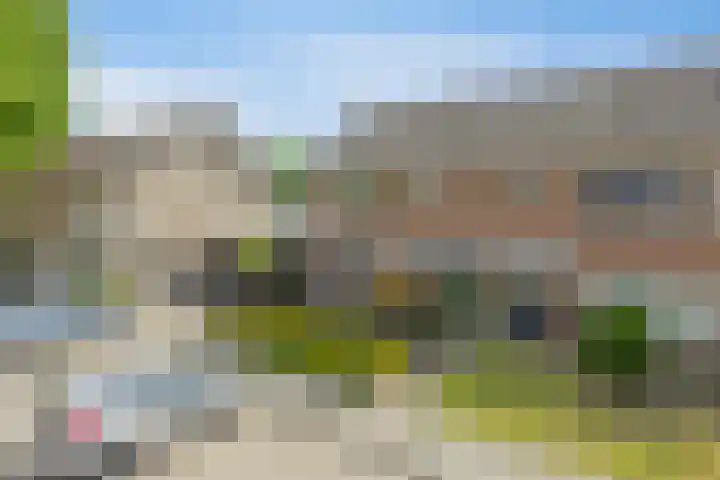 Elleboog 4 Riel thumbnail 38