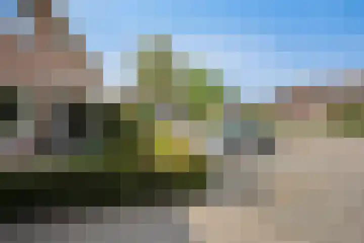 Elleboog 4 Riel thumbnail 39