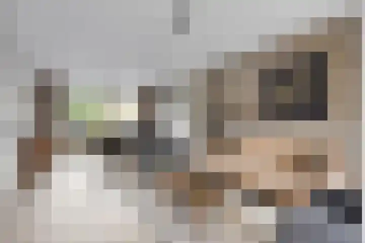 Elleboog 4 Riel thumbnail 4