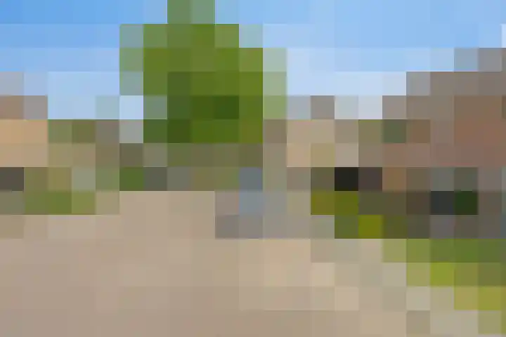 Elleboog 4 Riel thumbnail 40