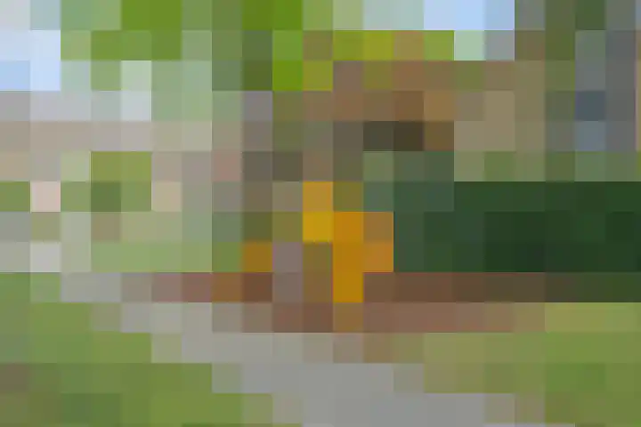 Elleboog 4 Riel thumbnail 41