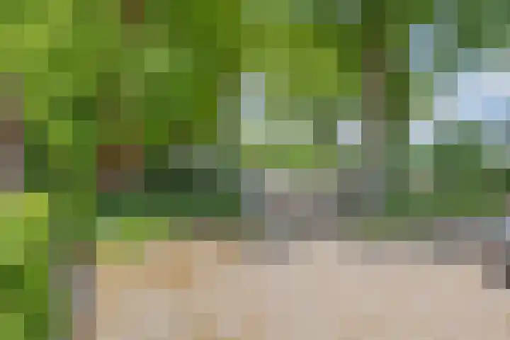Elleboog 4 Riel thumbnail 42