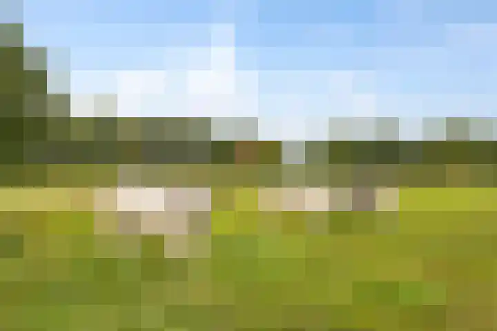 Elleboog 4 Riel thumbnail 43