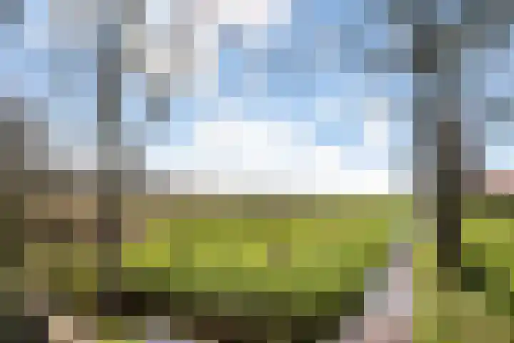 Elleboog 4 Riel thumbnail 45
