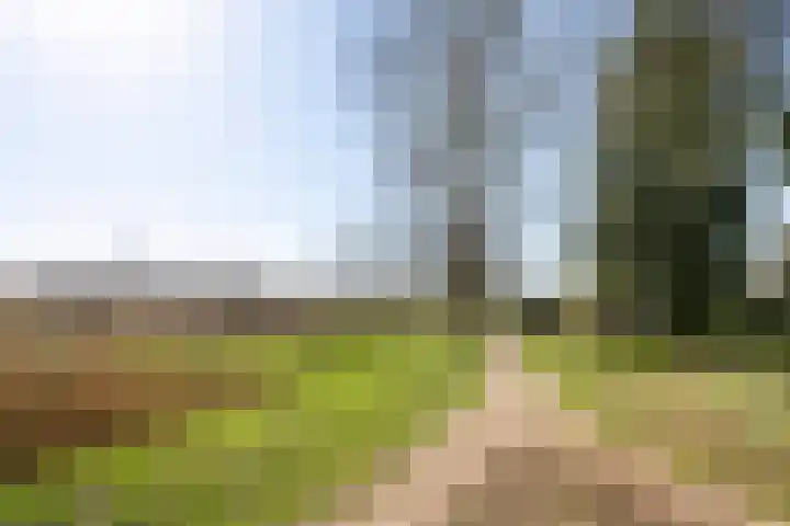 Elleboog 4 Riel thumbnail 48