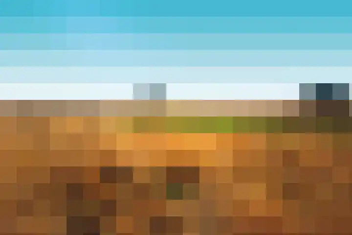Elleboog 4 Riel thumbnail 49