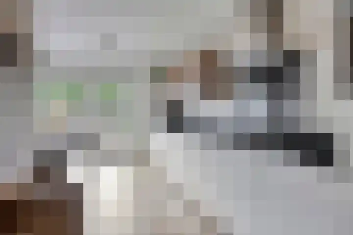 Elleboog 4 Riel thumbnail 6