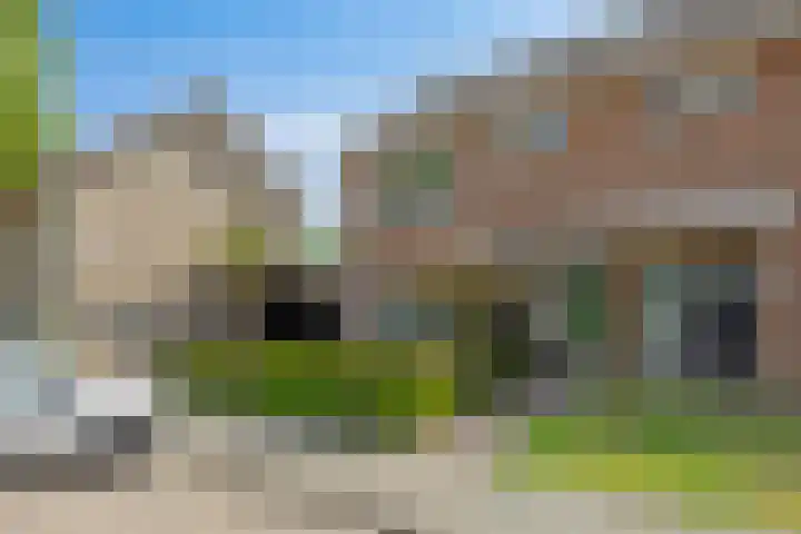 Elleboog 4 Riel thumbnail 8