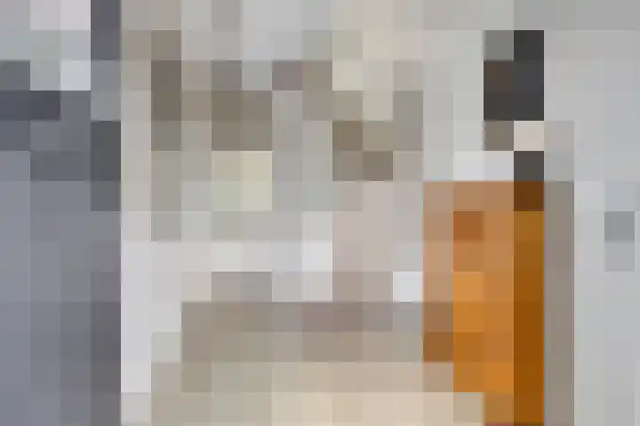 Elleboog 4 Riel thumbnail 9
