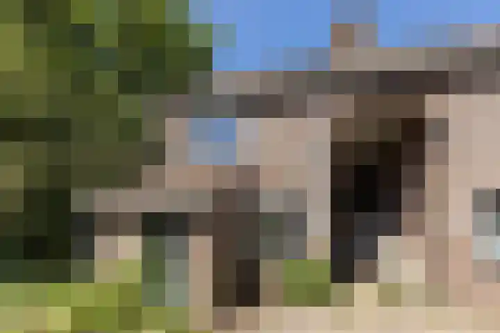 Ellekampzoom 59 in Koog aan de Zaan