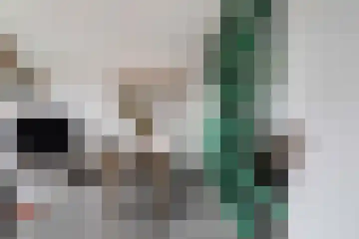 Ellemare 121 Rotterdam thumbnail 10