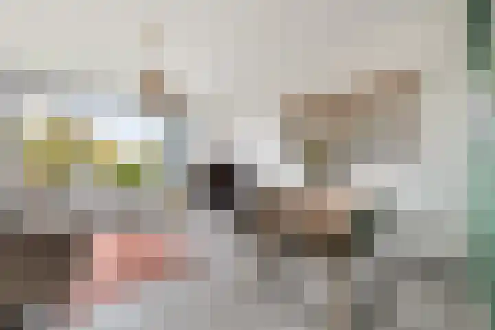 Ellemare 121 Rotterdam thumbnail 11