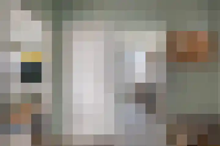 Ellemare 121 Rotterdam thumbnail 20