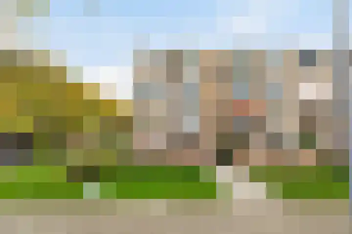 Ellemare 121 Rotterdam thumbnail 31