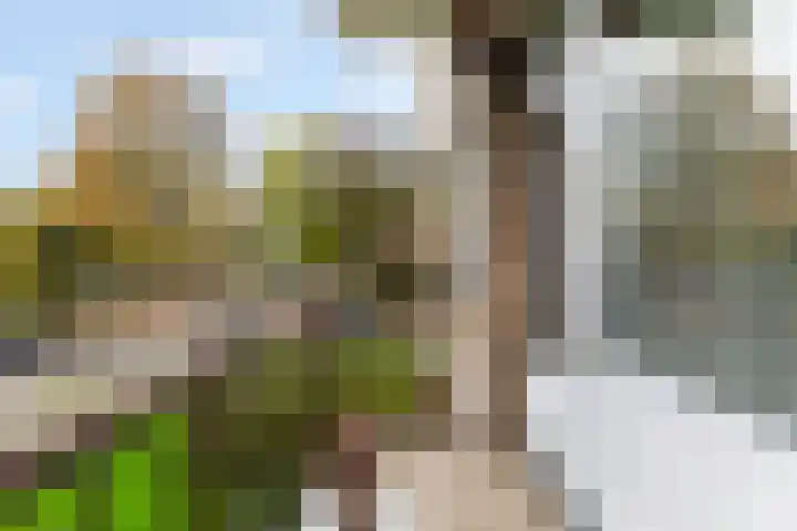 Ellemare 121 Rotterdam thumbnail 35