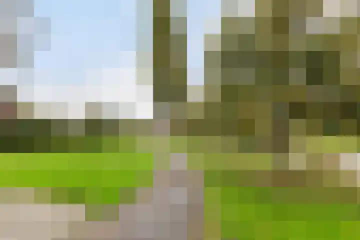 Ellemare 121 Rotterdam thumbnail 43