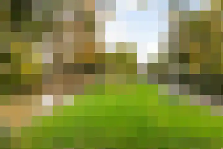 Ellemare 121 Rotterdam thumbnail 44