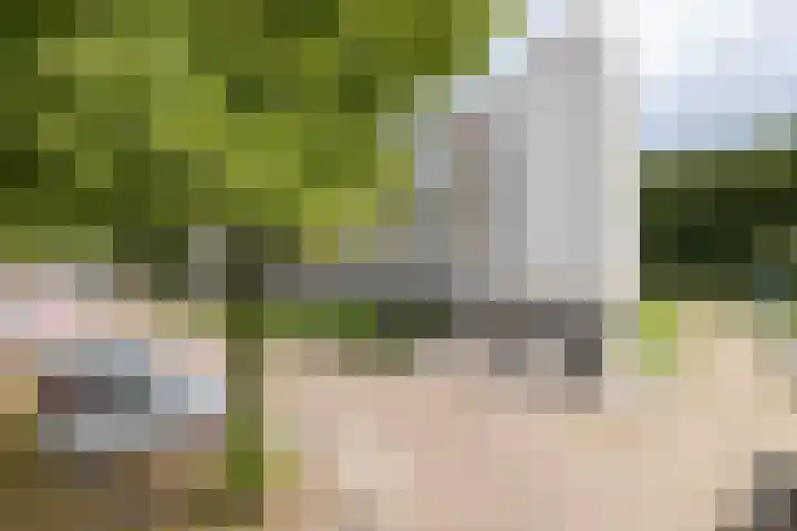 Ellen 47 Assen thumbnail 26