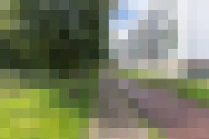 Ellen 47 Assen thumbnail 29