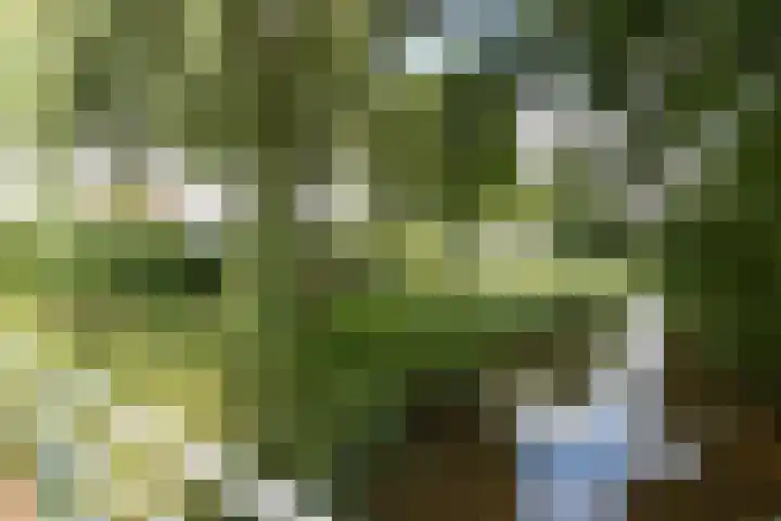 Ellen 47 Assen thumbnail 34