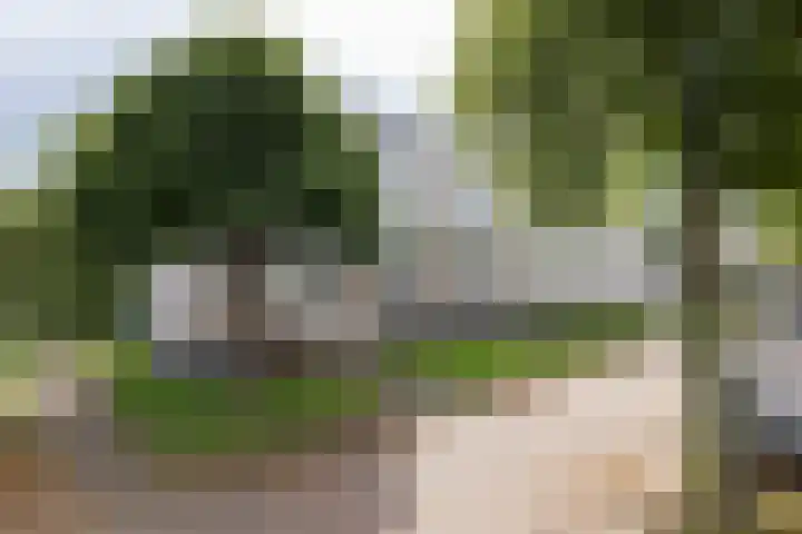 Ellen 47 Assen thumbnail 36