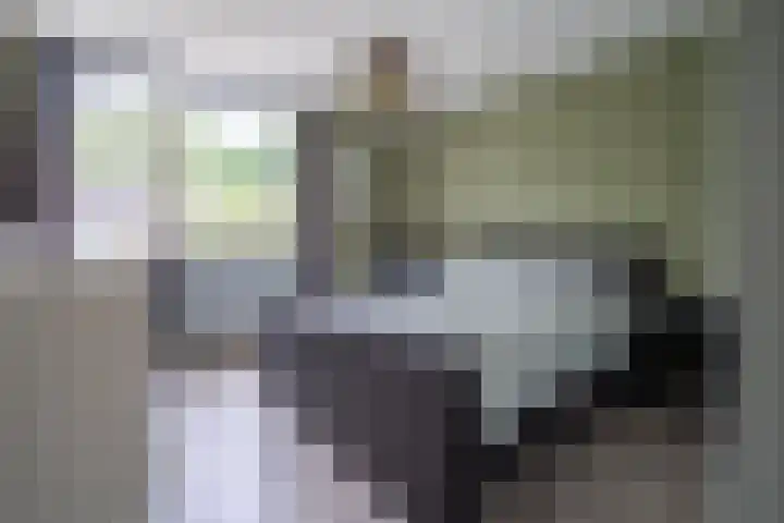 Ellertsveld 10 Veendam thumbnail 12