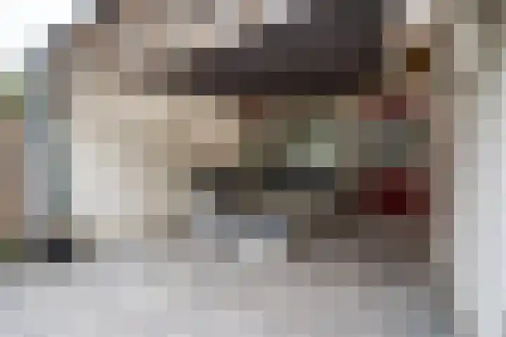 Ellertsveld 10 Veendam thumbnail 18