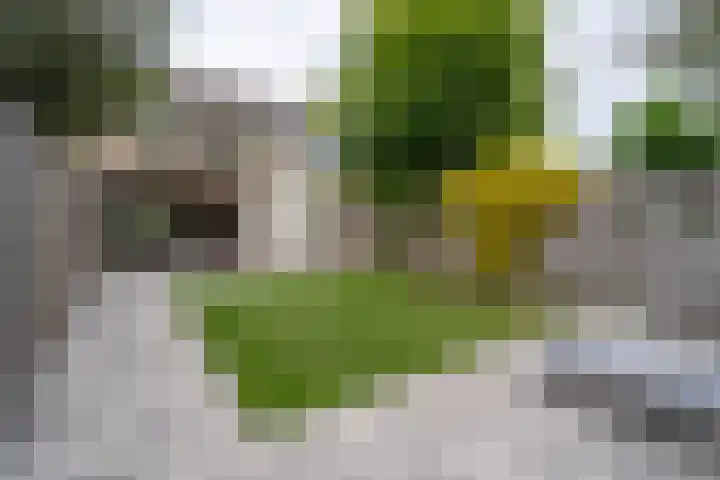 Ellertsveld 10 Veendam thumbnail 19